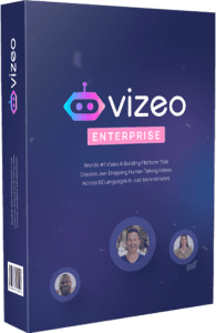 Vizeo enterprises Review