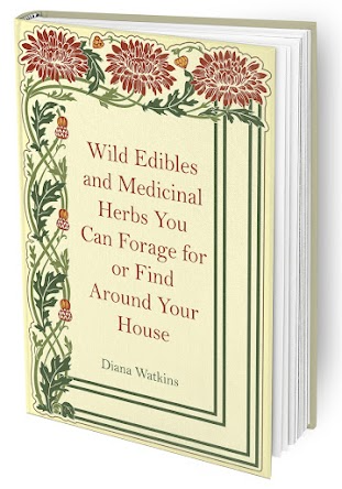 Home Doctor
