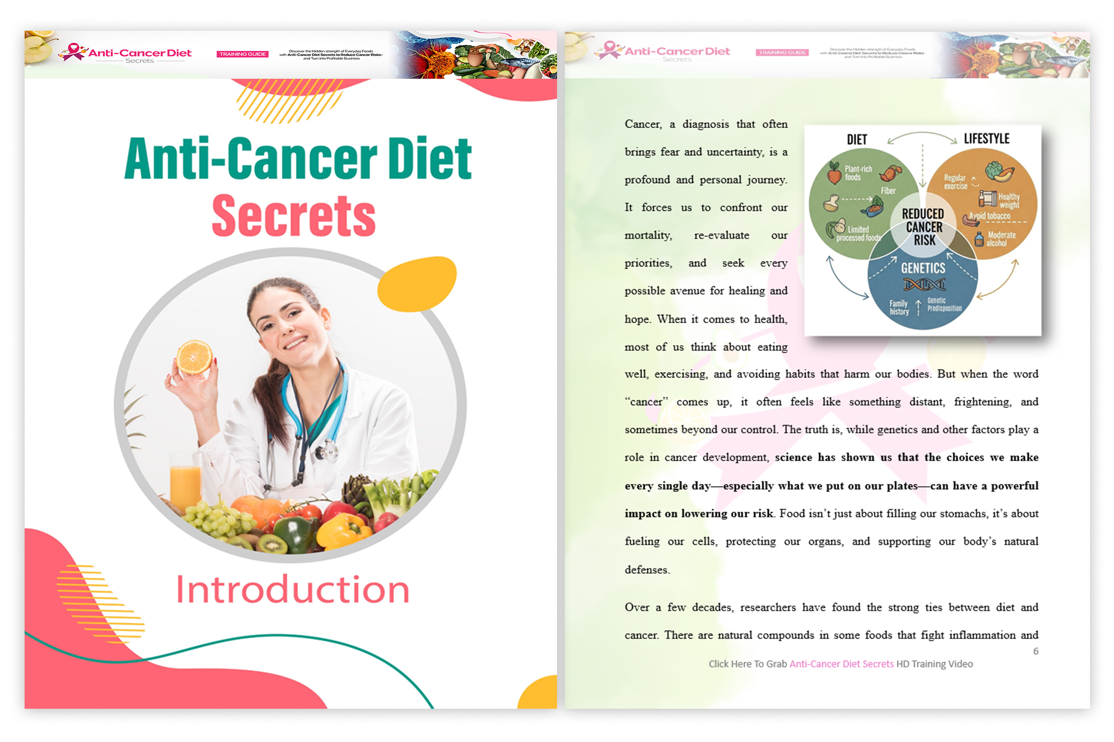 Anti-Cancer Diet